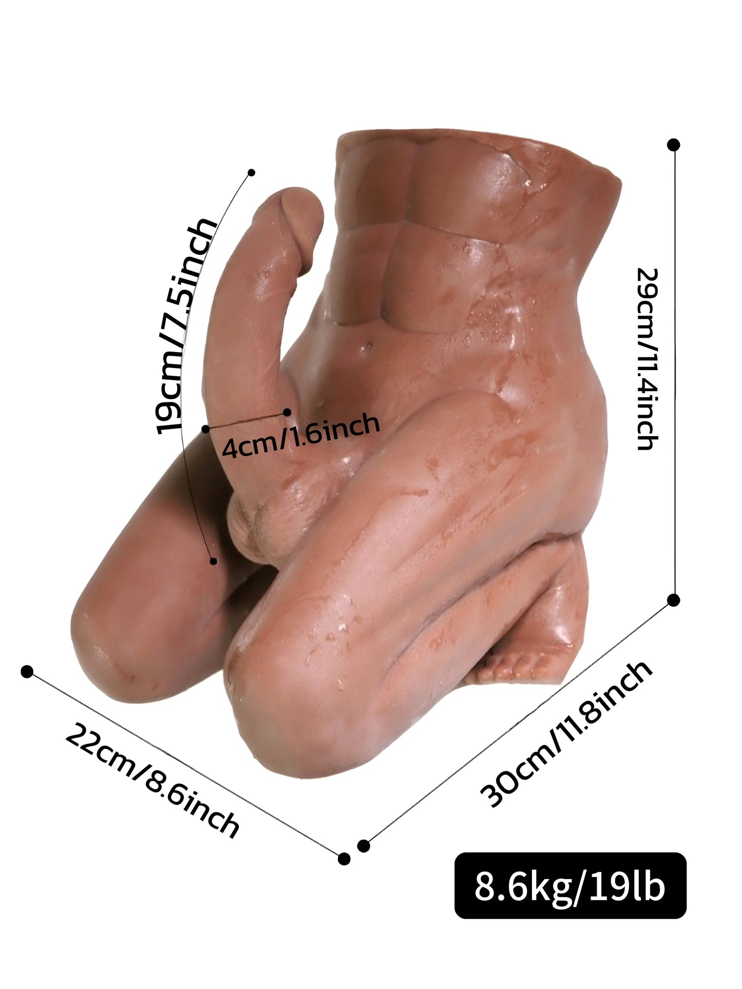 Kostenloser Versand | Halb-Männchenpuppe mit 19 cm langem Dildo
